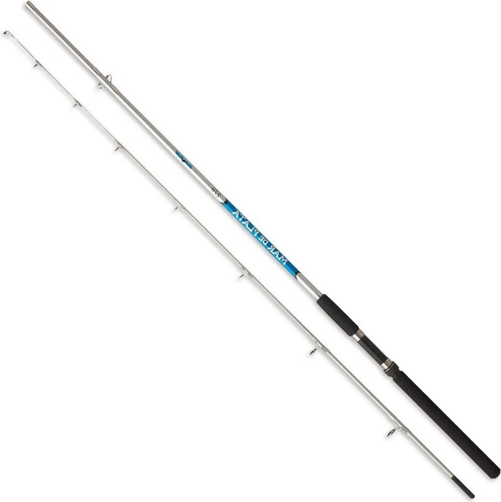 Canne Spinning Mer Zunzun 1.80m pour Leurres Lourds 80-120g Argent