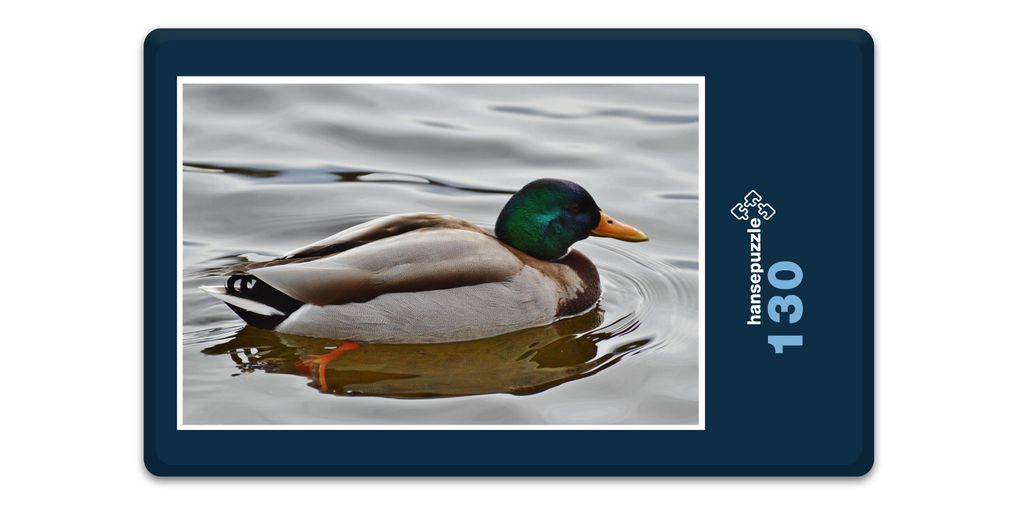 hansepuzzle 18076 - Ente Puzzle, 130 Teile, Tierwelt, 28,7 x 20,0cm mit hochwertiger Aufbewahrung, Kartonbox und wiederverschließbarem Beutel