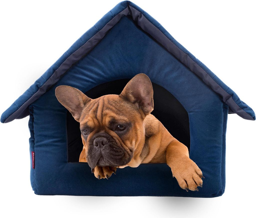 Elegant Hundehöhle, Hundehütte | Größe XL: 44 x 55 x 43 cm | Farbe: Blau Velvet | Hundehaus für mittlere und Große Hunde | Katzenhaus, Katzen...