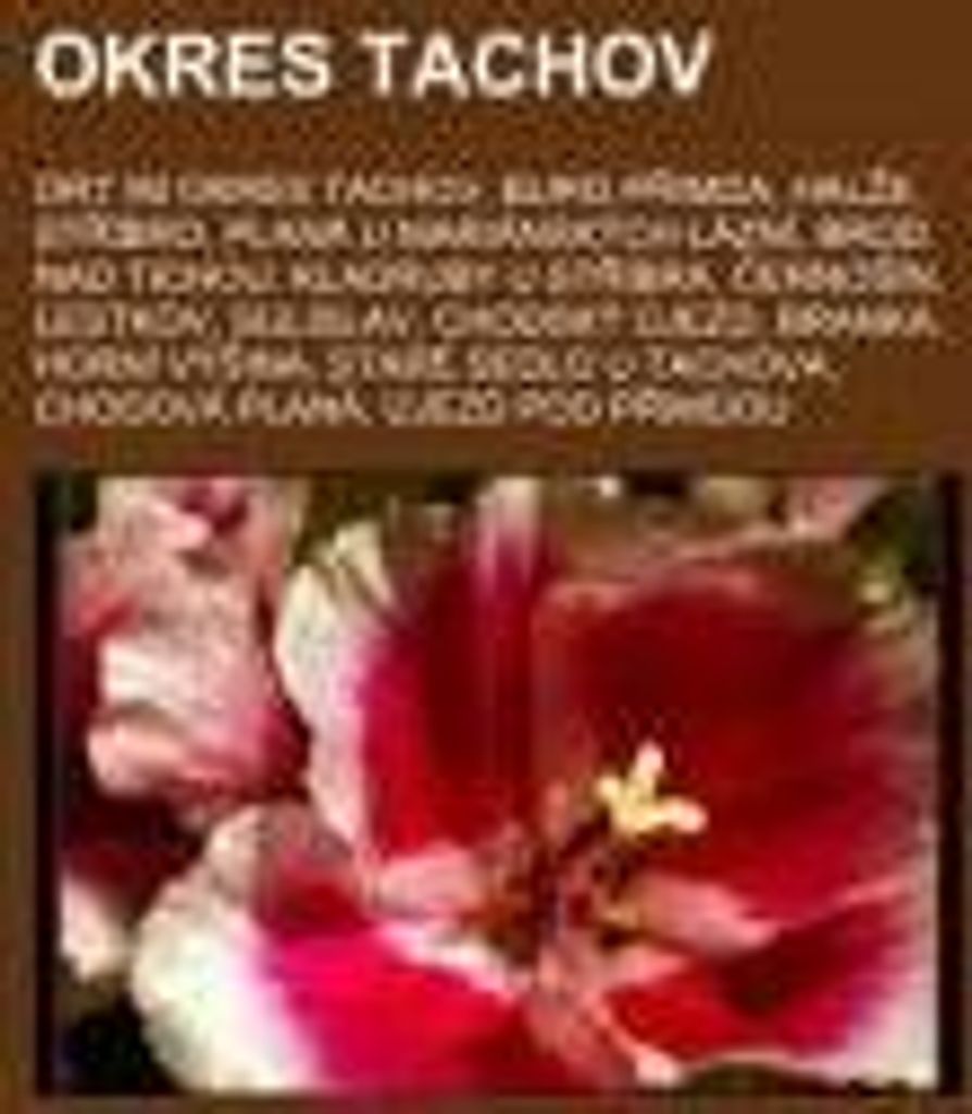 Okres Tachov
