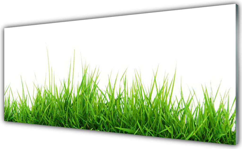 Acrylglasbilder 125x50 Wandbild Druck Gras Natur