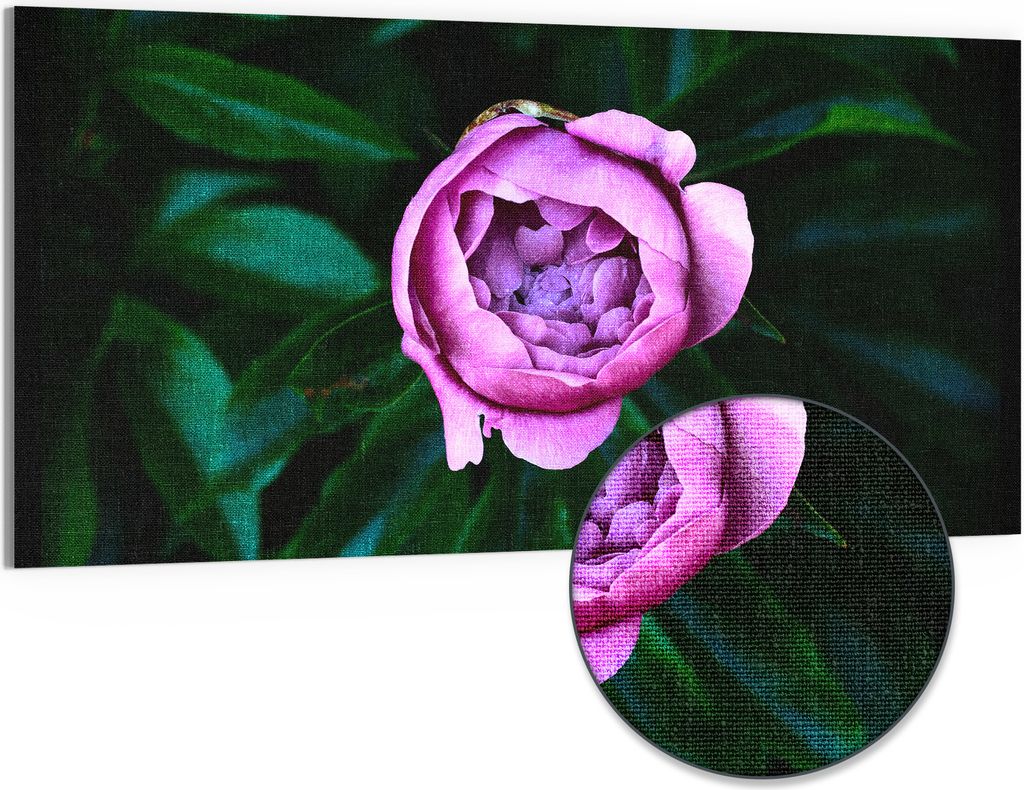 DEQORI Hybrid Leinwand Bild 100x50 cm 'Rosa Blütenzauber' Produktbild 