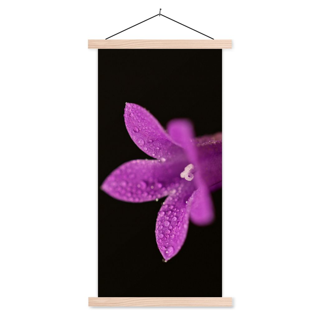 MuchoWow Textilposter Eine Nahaufnahme einer lila Lilie auf schwarzem Hintergrund 60x120 cm mit holzfarbenen Rahmen - Holz