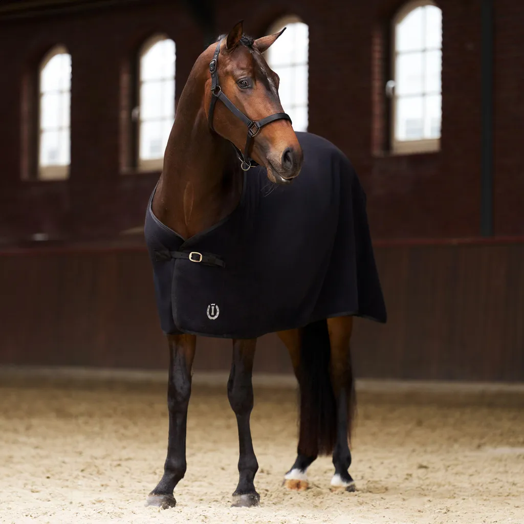 Tappeto in pile Imperial Riding IRHFundamental 165/115 | Shop Equitazione