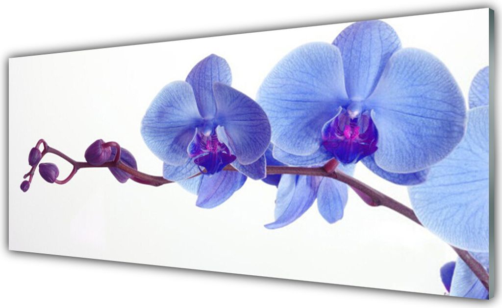 Acrylglasbilder 125x50 Wandbild Druck Blumen Pflanzen
