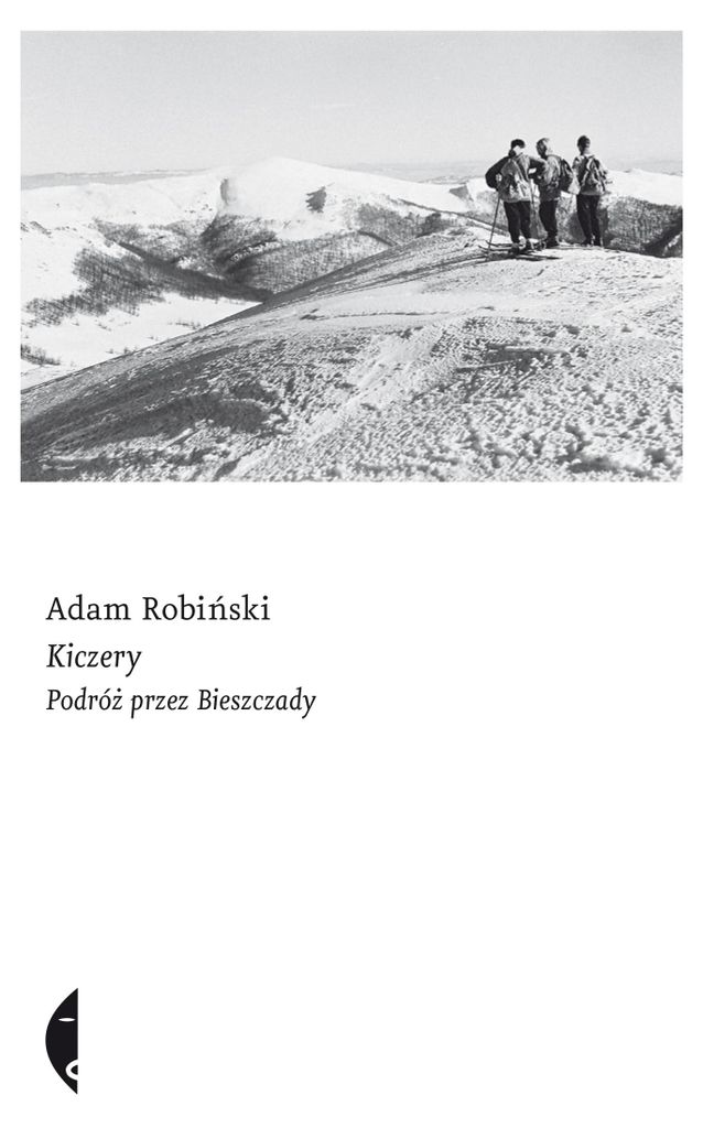 ISBN 978-83-804-9944-7, Polnisch, Taschenbuch, 248 Seiten