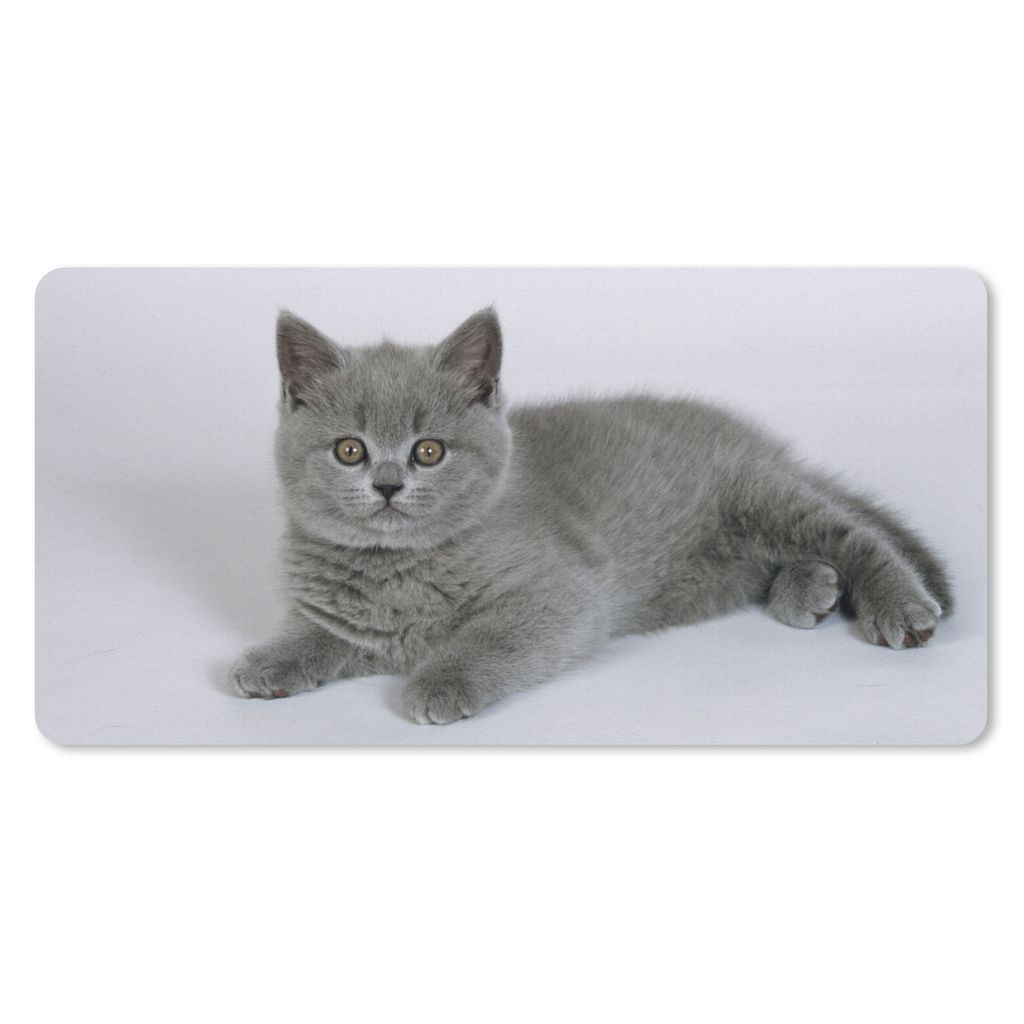 MuchoWow Mauspad Mousepad Liegendes Britisch-Kurzhaar-Kätzchen 60x30 cm - Mousepads - Maus Mat - Pad - Mausunterlage - Nachhaltig
