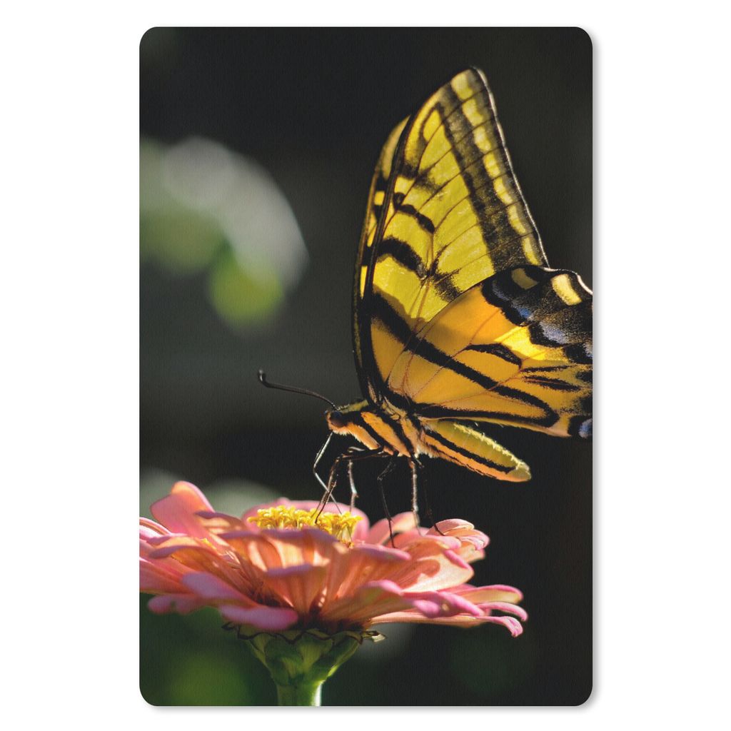 MuchoWow® Mauspad Mousepad Schmetterling - Botanisch - Produktbild 
