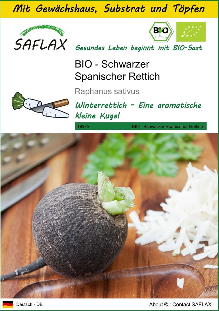 SAFLAX Anzucht Set - BIO - Schwarzer Spanischer Rettich - Raphanus sativus - 100 Samen - Mit Mini-Gewächshaus, Anzuchtsubstrat und 2 Töpfen