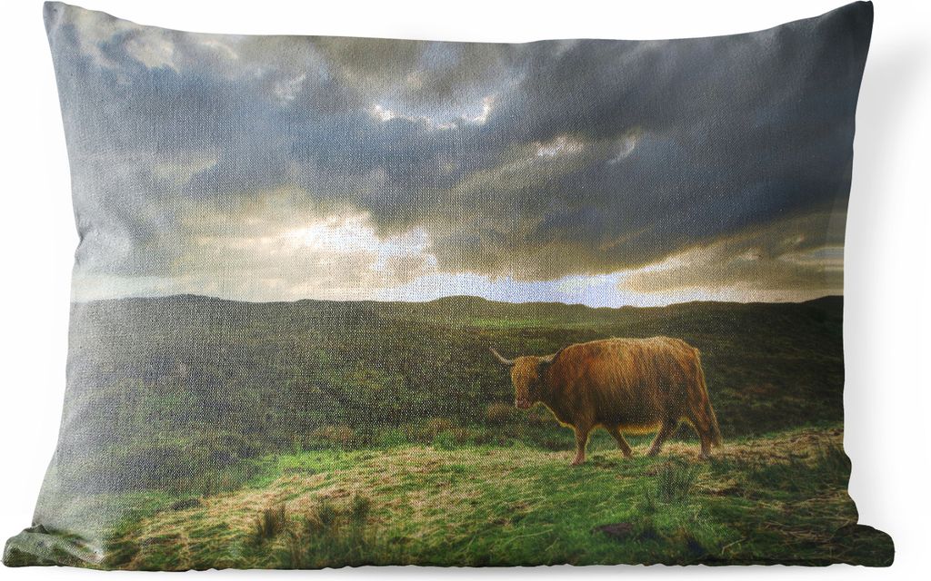 MuchoWow Outdoor Kissen - Schottisches Hochlandrind - Landschaft - Kuh - 50x30 cm - Wetterfest - Lounge Kissen - Sofa kissen - Wohnzimmer Dekoration