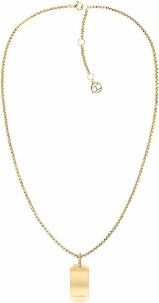 Collier Homme Tommy Hilfiger 2780861 : Idée Cadeau Bijou Chic et Sport