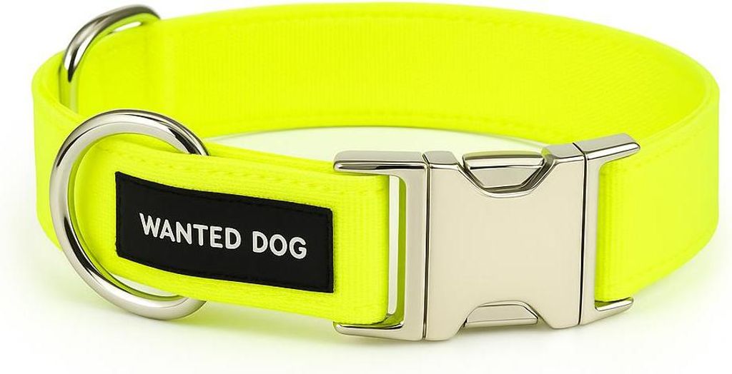 WANTED DOG Halsband für Hund - neongelb Größe: M 30CM, Schnalle Typ: Metall