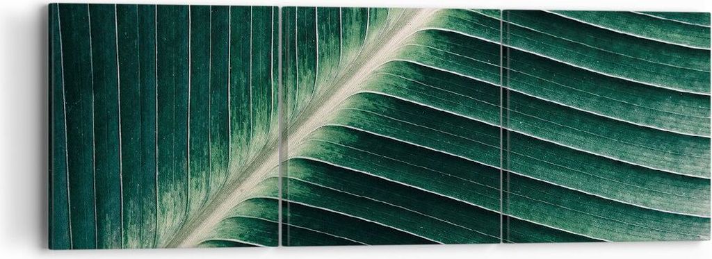 Bild auf Leinwand - Leinwandbild - 3 Teile - Grün Blatt Tropisch - 90x30cm - Wand Bild - Wanddeko - Wandbilder - Leinwanddruck - Bilder - Wanddeko...