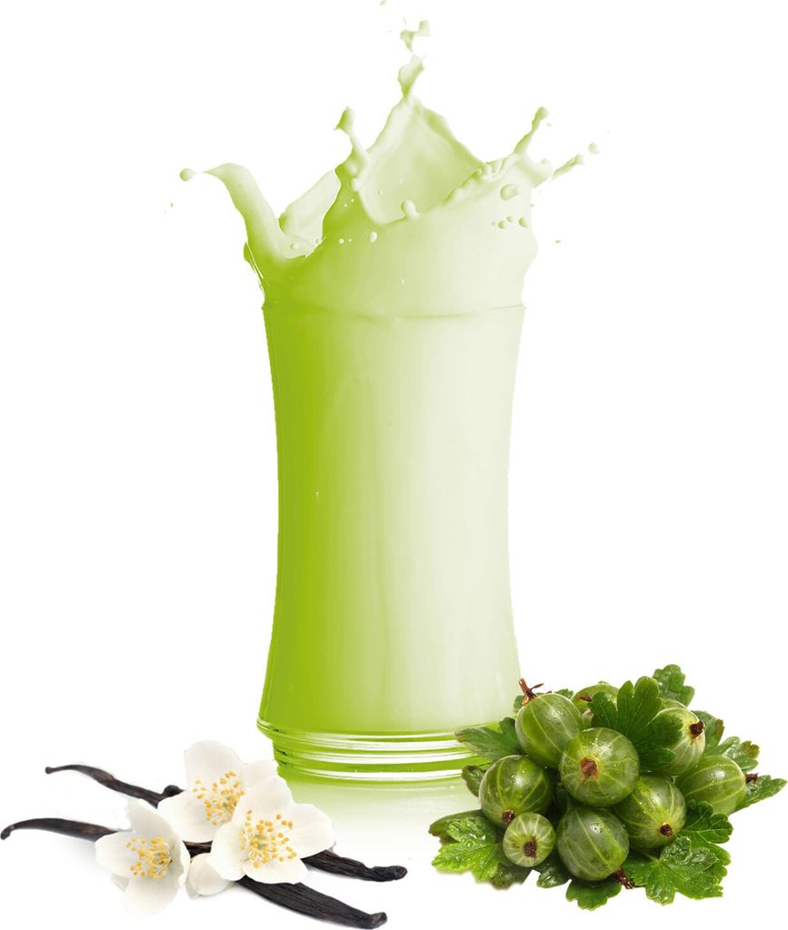 Vanille Stachelbeere Milchshake Pulver 10 kg