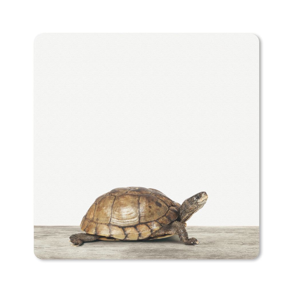 MuchoWow Mauspad Mousepad Schildkröte - Junge - Tiere - Kinder - Mädchen 20x20 cm - Mousepads - Maus Mat - Pad - Mausunterlage - Desk Mat - Bur...