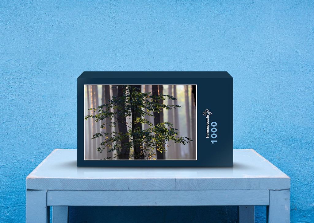 hansepuzzle 41213 - Wald Puzzle, 1000 Teile, Reisen, 60,0 x 46,0cm mit hochwertiger Aufbewahrung, Kartonbox und wiederverschließbarem Beutel