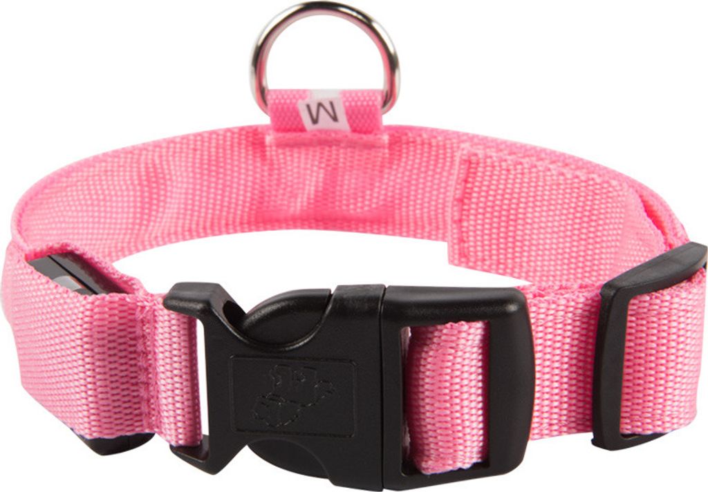 Hundehalsband Leuchthalsband Hund LED USB Aufladbar Akku Halsband Gr. S M L XL Farbe Pink - Aufladbar USB Größe Gr. L (41 - 52cm)