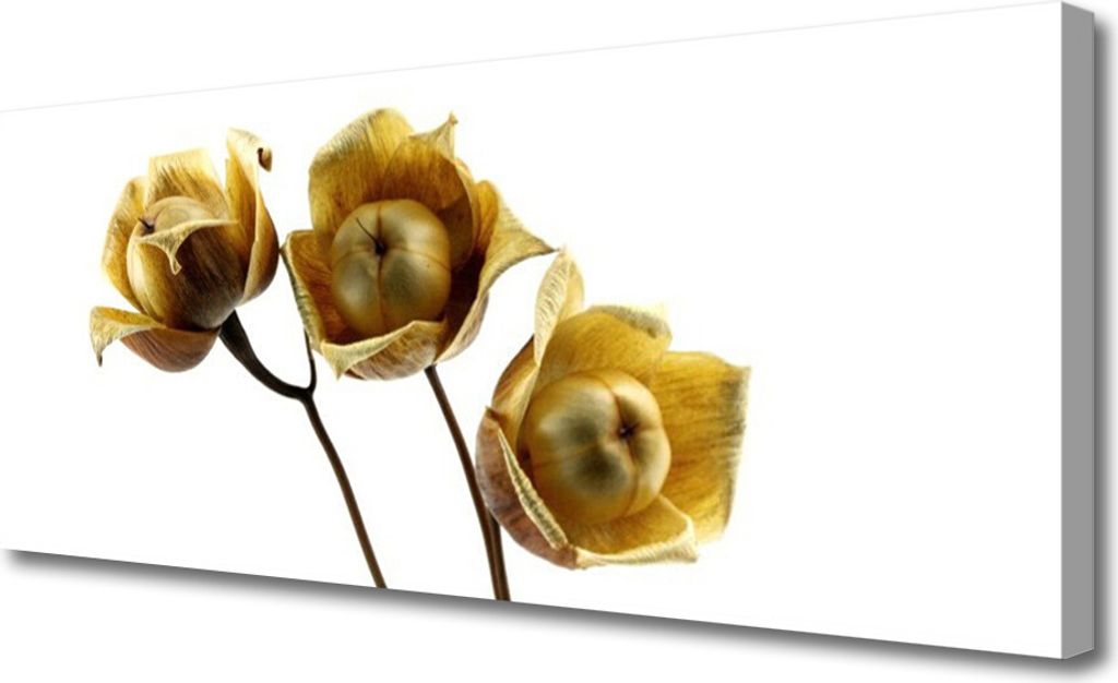 Tulup Leinwand-Bilder 125x50 Wandbild Canvas Kunstdruck Produktbild 