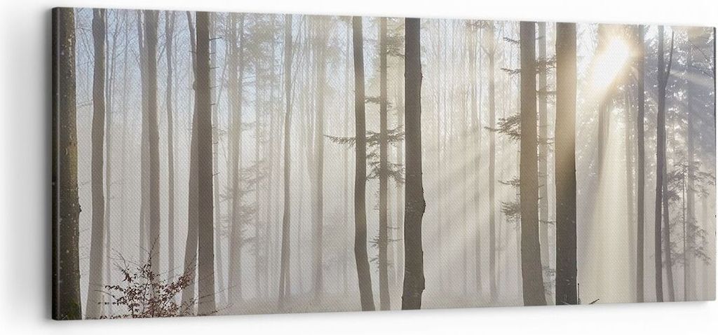 Bild auf Leinwand - Leinwandbild - Wald Baum Natur - Produktbild 