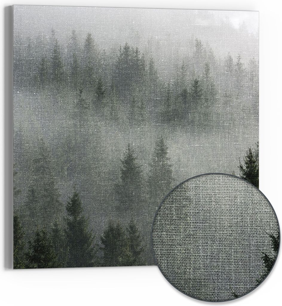 DEQORI Hybrid Leinwand Bild 30x30 cm 'Nebelwaldmystik' Wandbild Glas flach modern