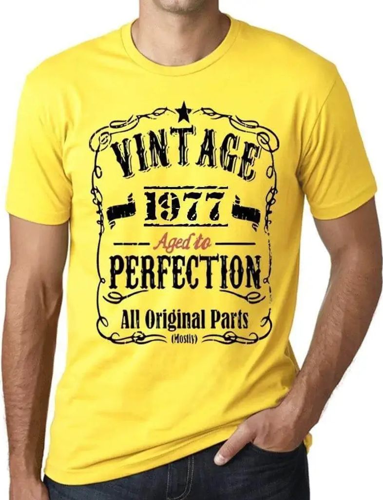 Herren Grafik T-Shirt Alle Originalteile bis zur Perfektion gealtert 1977 – All Original Parts Aged to Perfection 1977 – Geschenk 47. Geburtstag