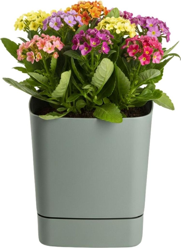 HowHomely | Pflanzgefäß - Blumentopf mit Untersetzer - Produktbild 