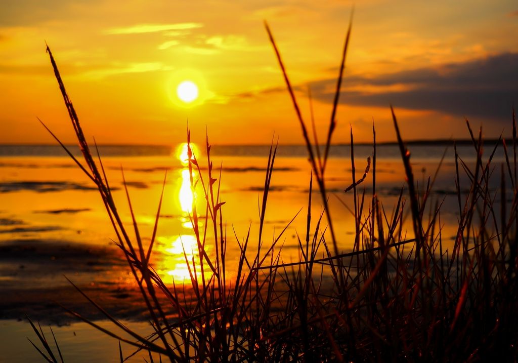 XXL Poster 100 x 70cm (S-848) Blick vom Strand aufs ruhige Meer beim Sonnenuntergang (Lieferung gerollt!)
