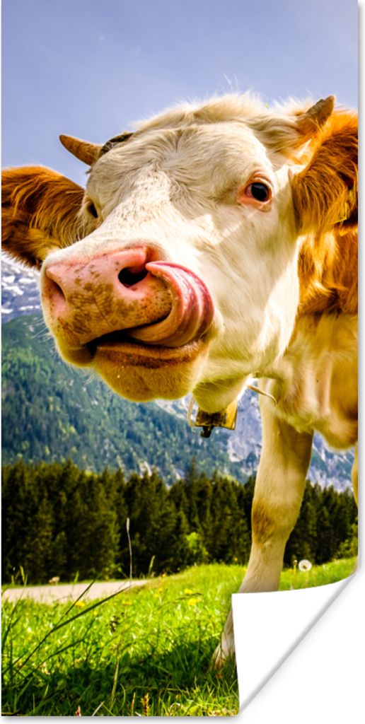 MuchoWow Poster Kühe - Berge - Gras - Landschaft - Alpen 80x160 cm - Kinderzimmer