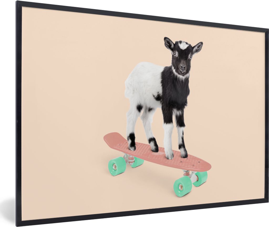 MuchoWow Gerahmtes Poster Ziege - Schwarz - Skateboard - Weiß - Tiere 90x60 cm - Poster mit Schwarzem Bilderrahmen Wandposter Rahmen Foto Bilder...