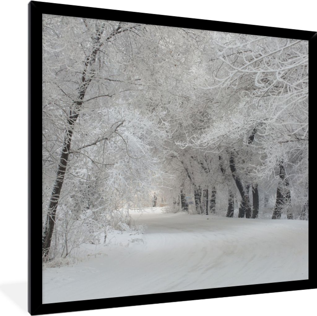 MuchoWow Gerahmtes Poster Bäume - Schnee - Winter 40x40 cm - Poster mit Schwarzem Bilderrahmen Wandposter Rahmen Foto Bilder - Mit Rahmen - Wand...