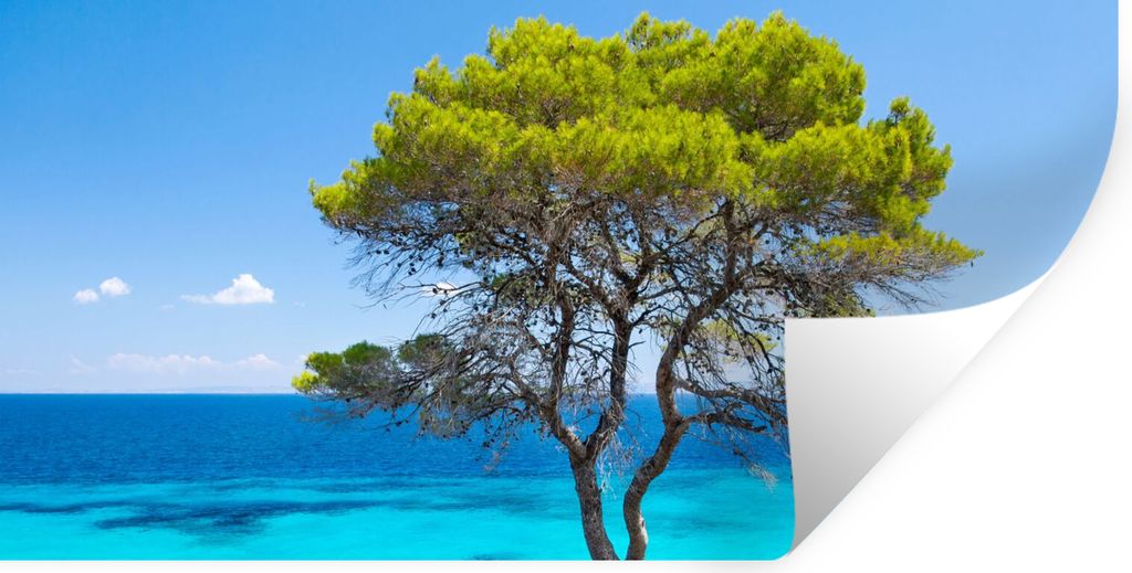 MuchoWow Wandtattoo Wandsticker Wandaufkleber Baum - Meer - Tropisch - Sommer 40x20 cm Selbstklebend und Repositionierbar - Aufkleber