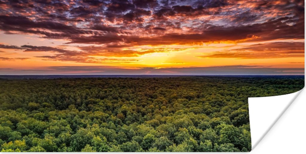 MuchoWow Poster Wald - Nacht - Himmel - Horizont - Bäume 40x20 cm - Poster für die Wand - Poster Schlafzimmer