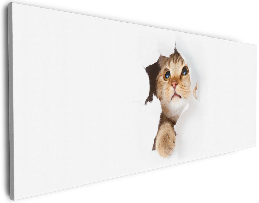 Wallario Premium Leinwandbild Katze mit Blick nach oben in Größe 50 x 125 cm