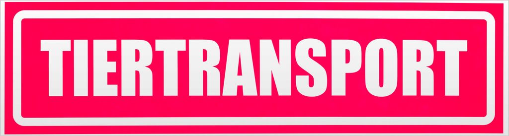 Kiwistar Tiertransport invertiert Magnetschild Schild magnetisch - 45cm Neonpink - Magnetfolie für Auto PKW Kfz