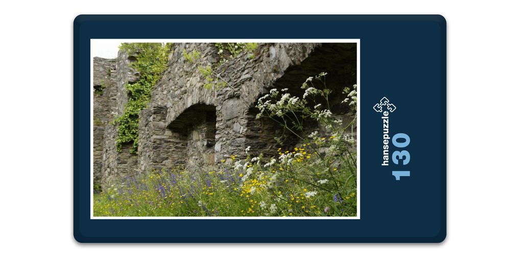 hansepuzzle 19226 - Burg-Ruine Puzzle, 130 Teile, Gebäude, 28,7 x 20,0cm mit hochwertiger Aufbewahrung, Kartonbox und wiederverschließbarem Beutel