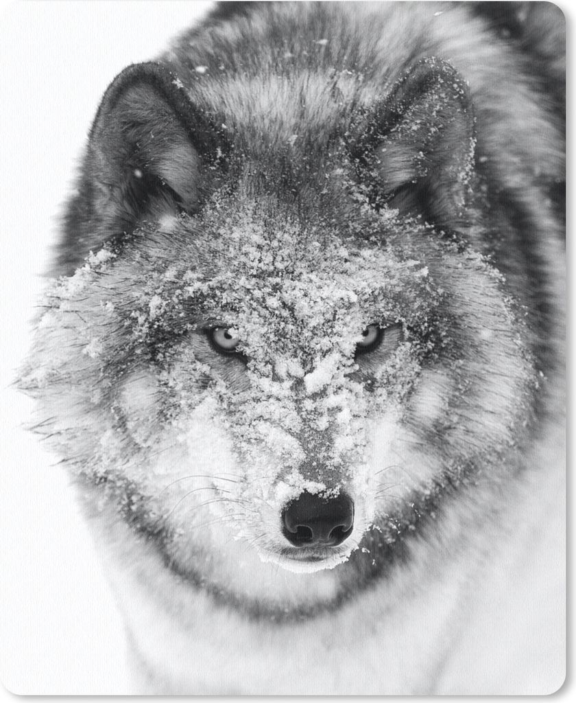 MuchoWow Mauspad Mousepad Wolf mit verschneitem Kopf in schwarz-weiß 19x23 cm - Mousepads - Maus Mat - Pad - Mausunterlage - Mauspads - Spielen