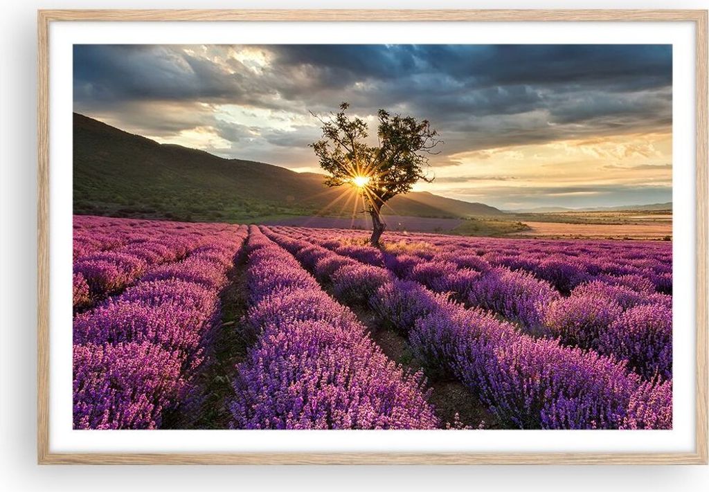 Gerahmtes Poster - Rahmen in heller Eiche - Lavendel Berge Feld - 91,5x61 cm - Wand Bild - Wanddeko - Wandbilder - Wandposter - Bilderrahmen - Bild...