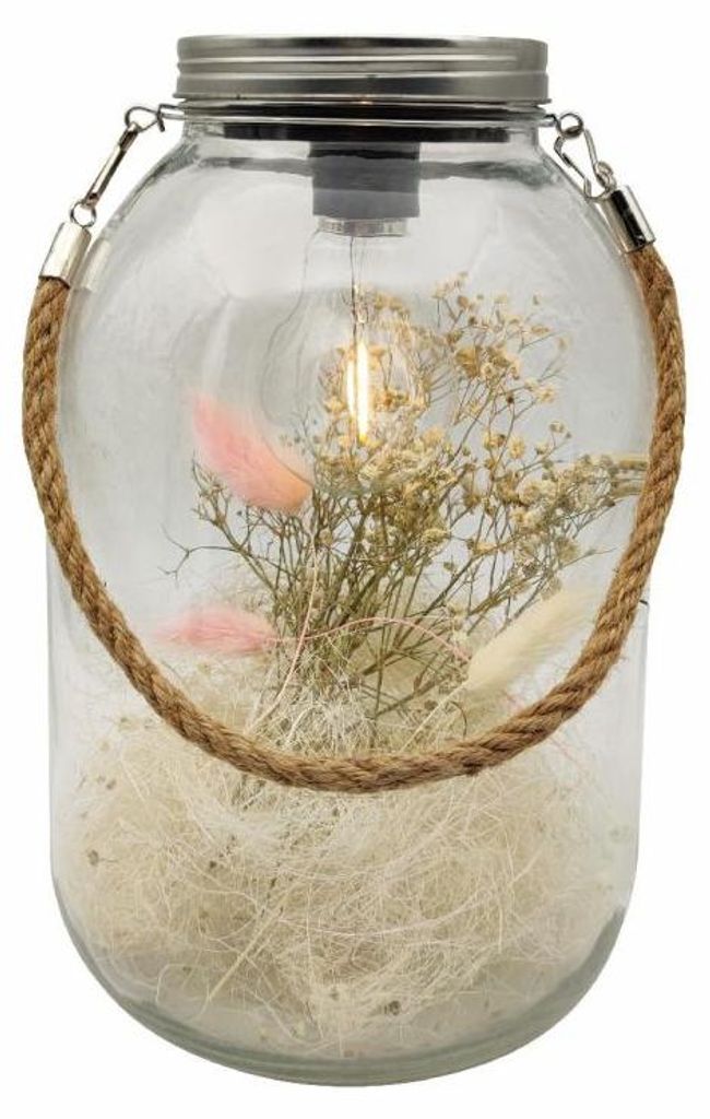 TrendLine Deko Glas LED mit Trockenblumen 16 x 26 cm