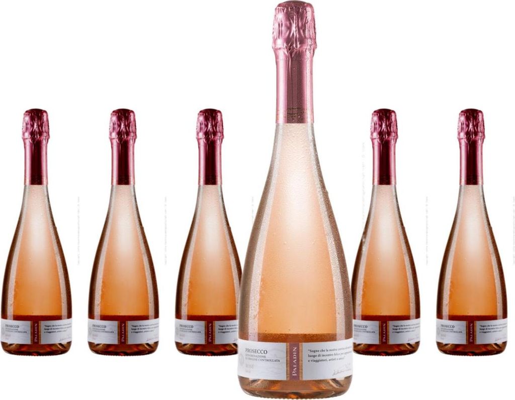 6 x Paladin Prosecco Millesimato Brut Rosé Produktbild 