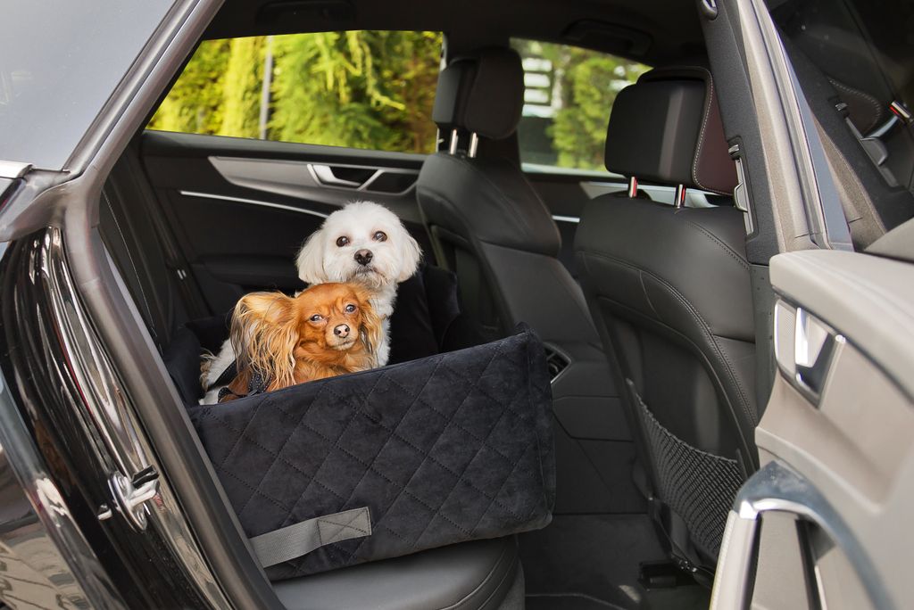 Hundesitz Autositze Autokörbchen Hundeautositz Autositz für Produktbild 4