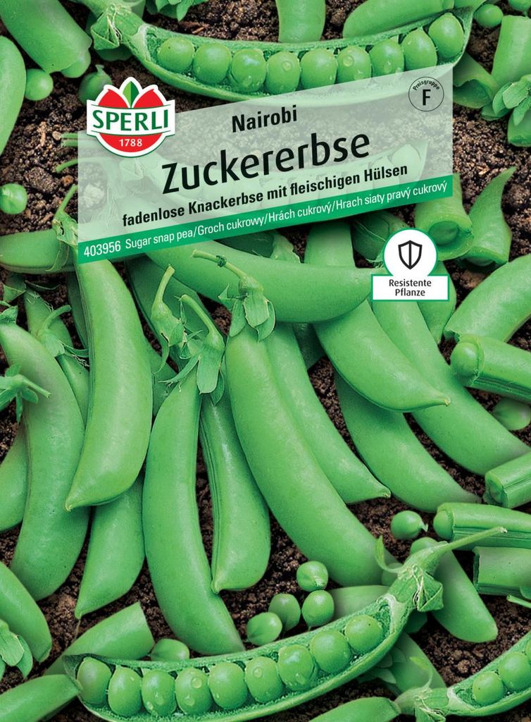 Zuckererbse Nairobi Sperli Gemüsesamen