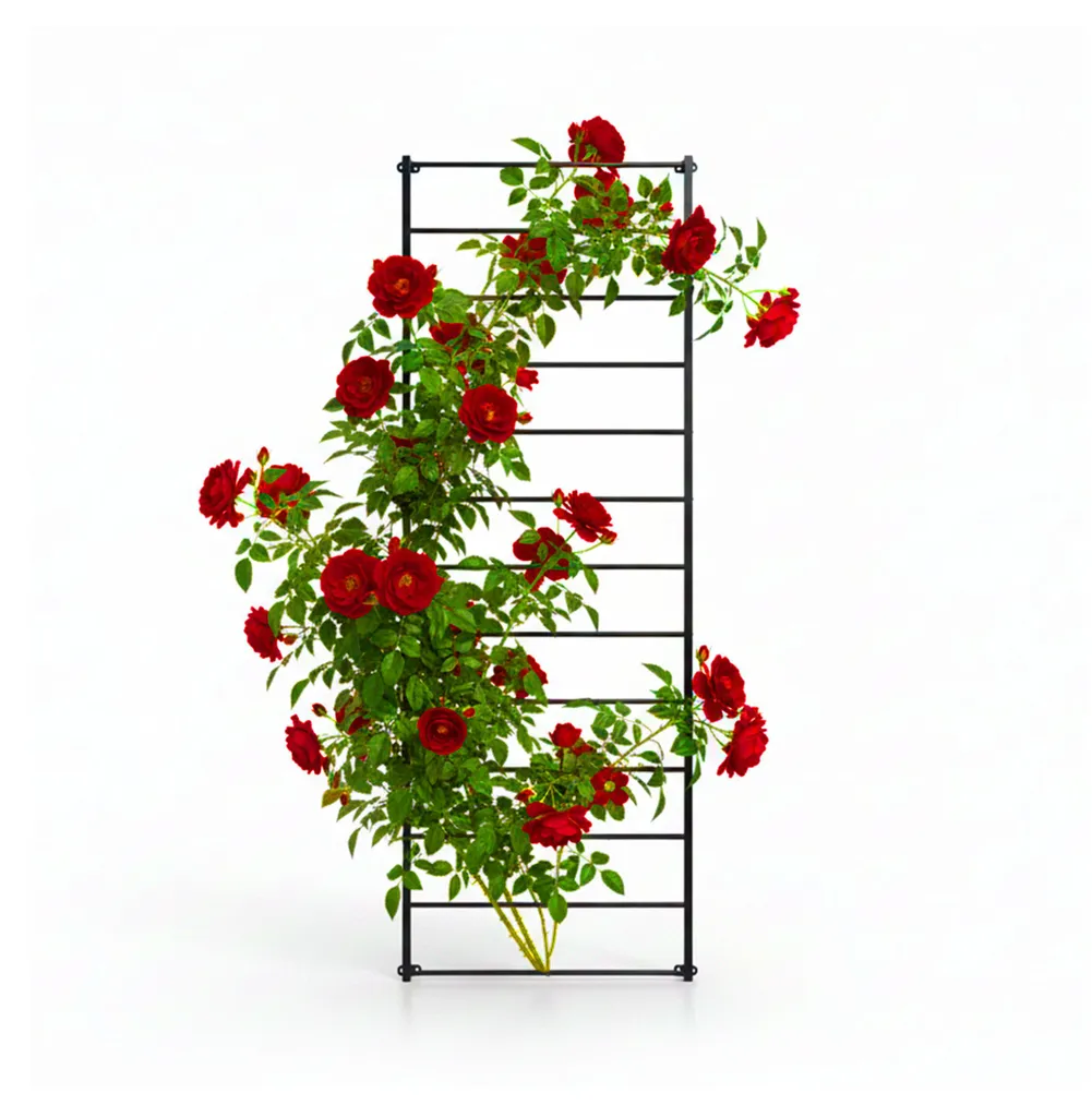 Grille de rangement murale Relaxdays en métal noir pour votre cuisine