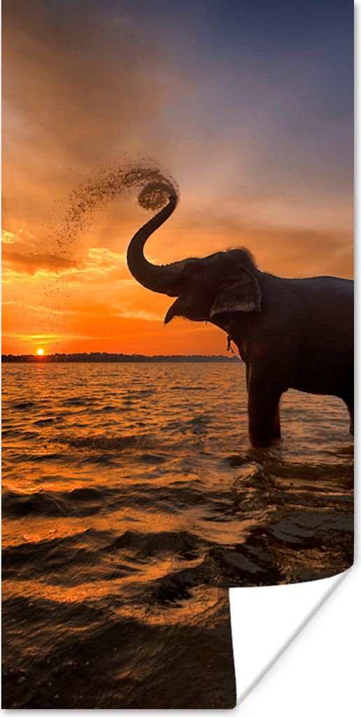 MuchoWow Poster Elefant - Meer - Tiere - Sonnenuntergang - Orange 80x160 cm - Kinderzimmer