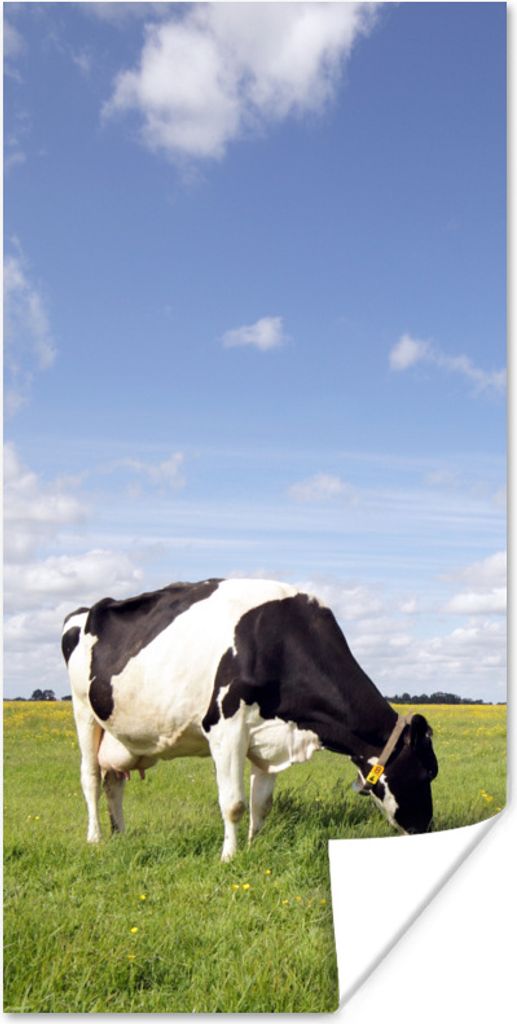 MuchoWow Poster Kuh - Gras - Niederlande - Tiere 60x120 cm - Wandschmuck
