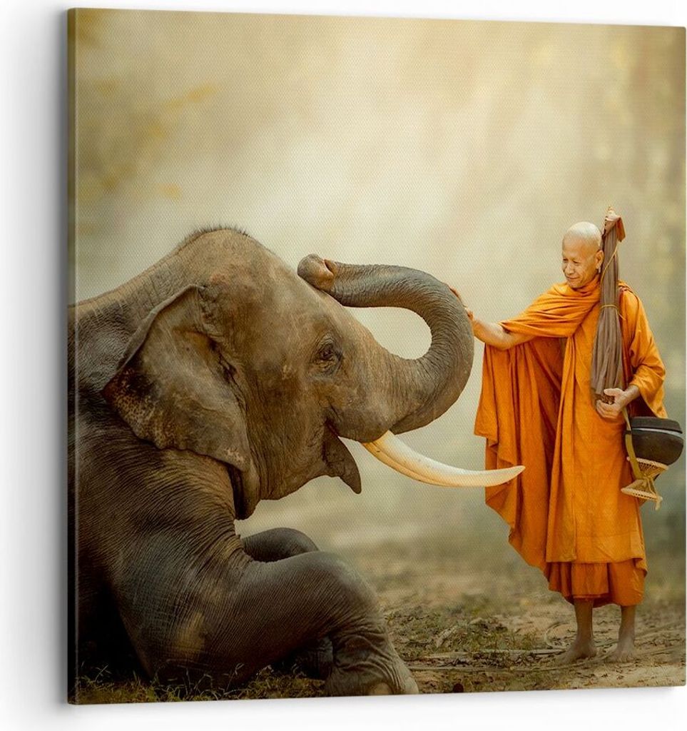 Bild auf Leinwand - Leinwandbild - Elefant Mönch Stoßzahn - 70x70cm - Wand Bild - Wanddeko - Leinwanddruck - Bilder - Kunstdruck - Wanddekoration...