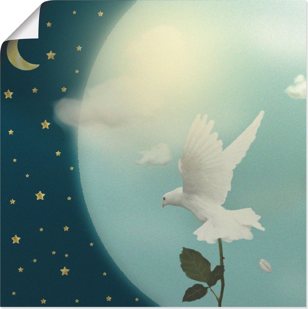 ARTland Poster Friedenstaube Größe: 50x50 cm Produktbild 