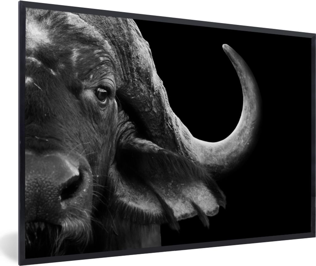 MuchoWow Gerahmtes Poster Büffel - Tiere - Schwarz - Weiß 60x40 cm - Poster mit Schwarzem Bilderrahmen Wandposter Rahmen Foto Bilder - Printing...