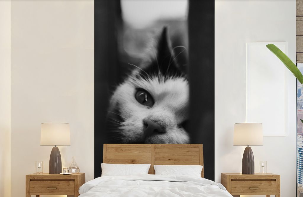 MuchoWow Fototapete für Wohnzimmer oder Schlafzimmer Wandtapete Vinyl Motivtapete Tierprofil Spionage Katze in schwarz und weiß - 120x240 cm - ...