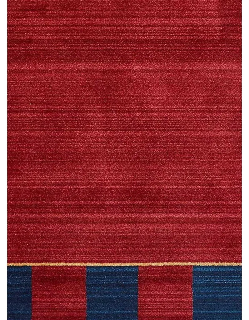 Tapis CHOBAY 6 facile à nettoyer pour salon familial et animaux motif - 4
