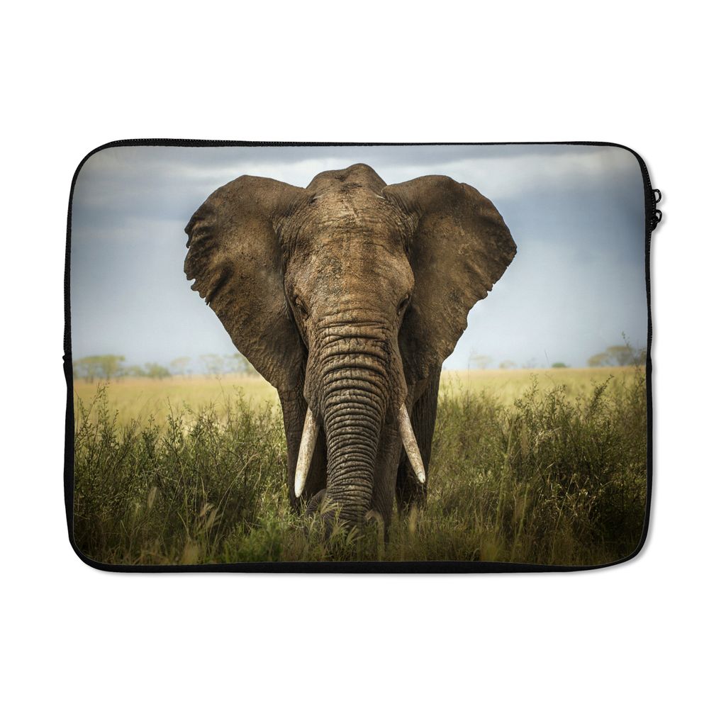 MuchoWow Laptop Hülle 14 ZollElefant - Natur - Gras - Tiere - Landschaft Laptoptasche - Laptoptasche - Stoßsicher - Schutzhaube